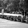 park Zaimow 2024.04.25 dt film
