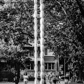 park Zaimow 2024.04.32 dt film