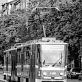 Yanko Sakuzow 2024.04.34 dt film