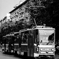 tramway No 22 2024.04.35 dt film