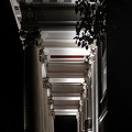colonnade 2024 night.01 dt