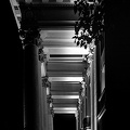 colonnade 2024 night.01 dt bw