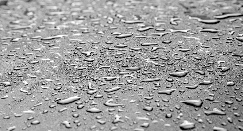 wet 2008.002_dt_bw.jpg