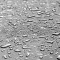 wet 2008.002 dt bw