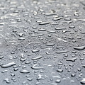 wet 2008.002 dt