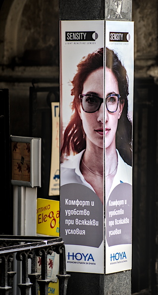 hoya 2024.01_dt.jpg