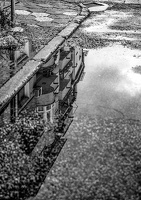 reflections 2022.01 dt bw
