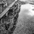 reflections 2022.01 dt bw