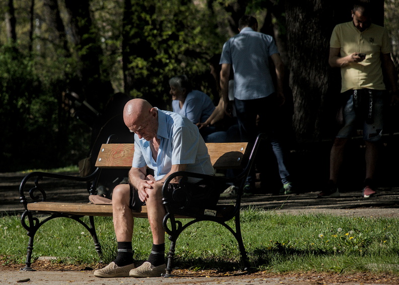 freedom garden 2025.02_dt.jpg