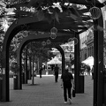 slaweykow square 2025.01 dt bw