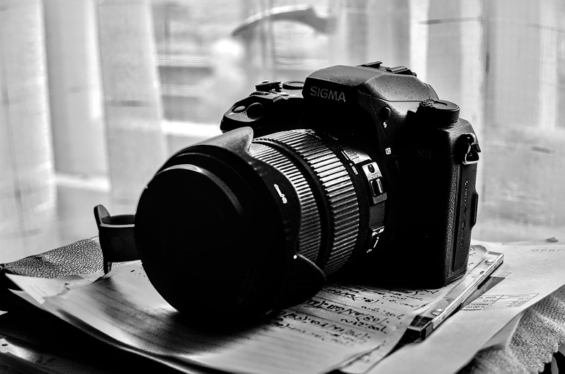 Sigma SD1 2025.03_dt_bw.jpg