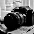 Sigma SD1 2025.03 dt bw