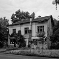zlatowruh 2025.02 dt bw d810