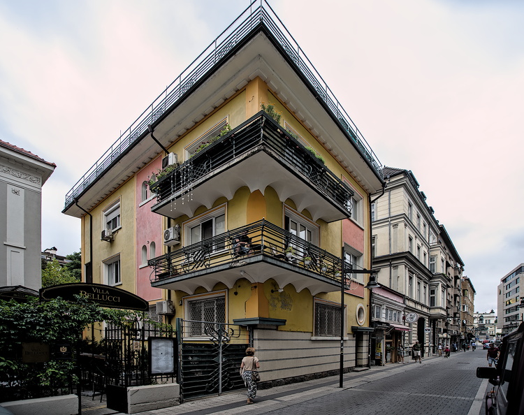 shishman 2025.06_dt_d810 .jpg