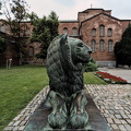 lion 2025.01 dt