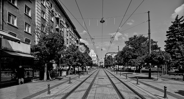 graf ignatiew 2025.02 dt bw