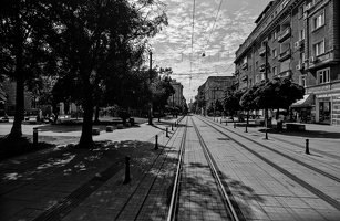 graf ignatiew 2025.03 dt bw