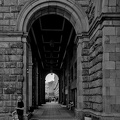 colonnade.2025.09 dt bw (2)