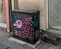 knjaz boris 2025.03 dt