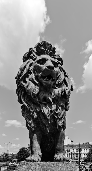 lion's bridge southwest 2025.02_dt_bw (2).jpg