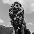 lion's bridge southwest 2025.03 dt bw (1)