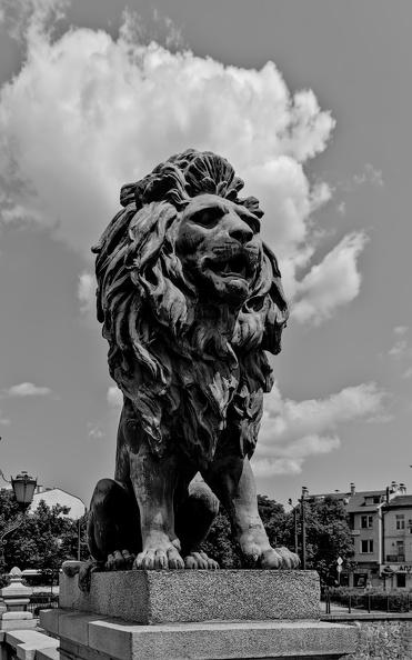 lion's bridge southeast 2025.01_dt_bw.jpg