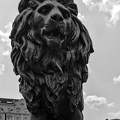 lion's bridge northeast 2025.01 dt bw