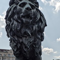 lion's bridge northeast 2025.01 dt