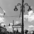 lion's bridge 2025.02 dt bw