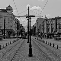 lion's bridge 2025.04 dt bw