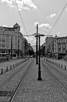 lion's bridge 2025.03 dt bw