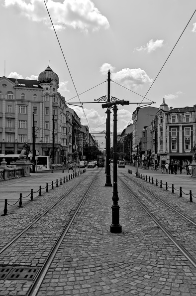 lion's bridge 2025.03_dt_bw.jpg