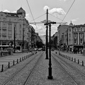 lion's bridge 2025.03 dt bw
