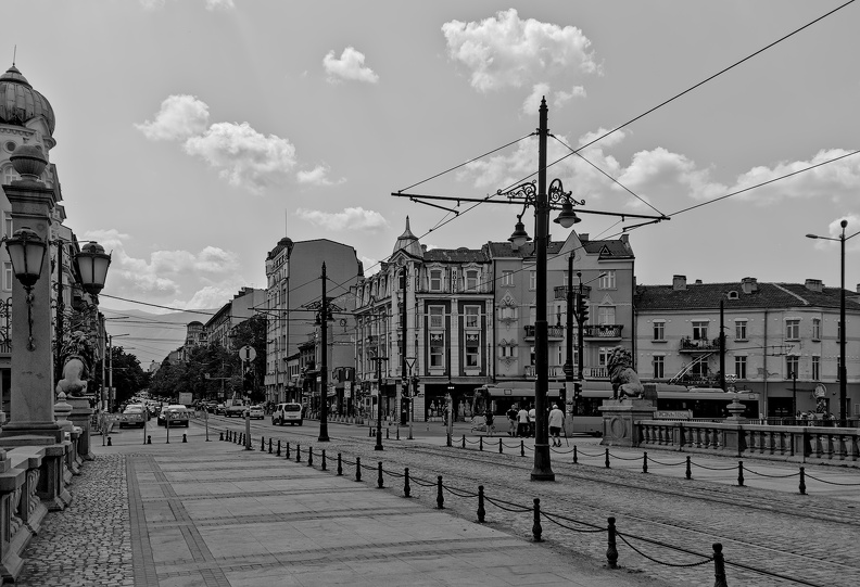 lion's bridge 2025.05_dt_bw.jpg