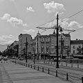 lion's bridge 2025.05 dt bw