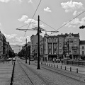 lion's bridge 2025.06 dt bw