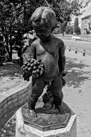kid with winegrape 2025.01 dt bw
