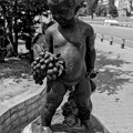 kid with winegrape 2025.01 dt bw