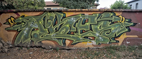 rays streets (save the bees) 2025.02 dt