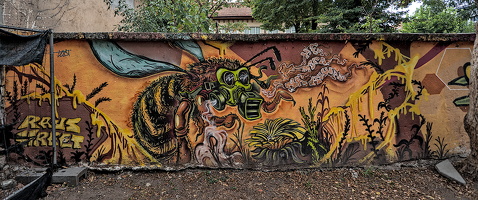 rays streets (save the bees) 2025.01 dt