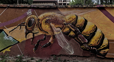 rays streets (save the bees) 2025.03 dt