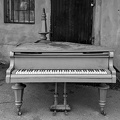 blue royal 2025.01 dt bw