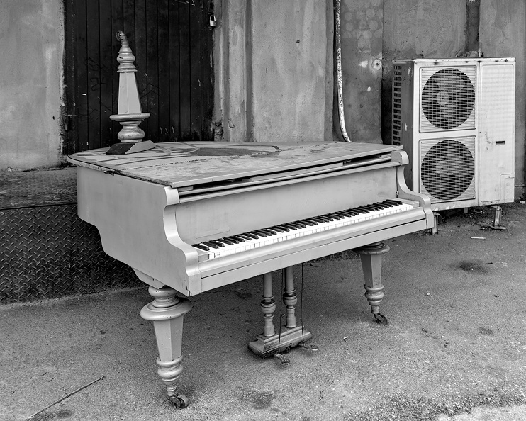 blue royal 2025.02_dt_bw.jpg