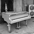 blue royal 2025.02 dt bw