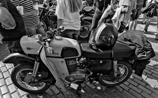 MZ Trophy 250 2025.01 dt bw