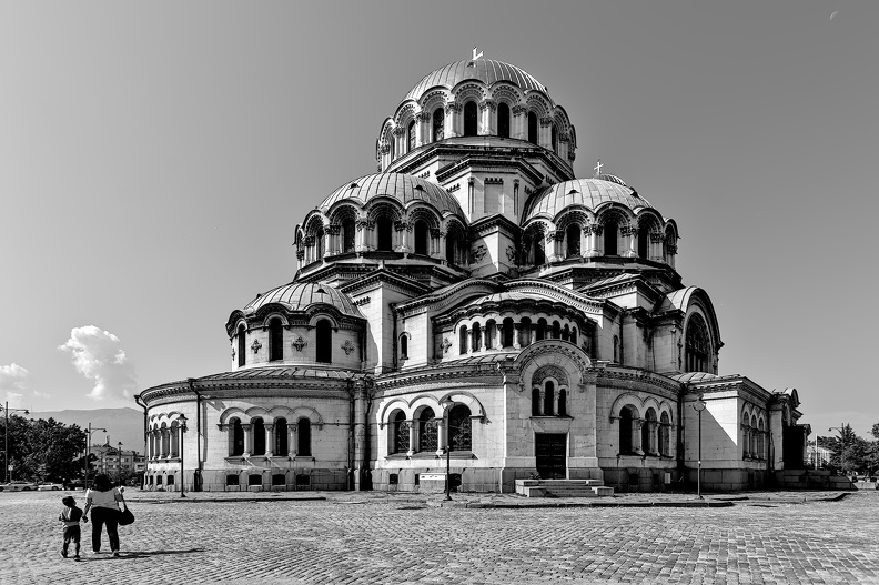 alexander nevsky 2025.14_dt_bg (2).jpg