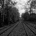 boulevard Wardar 2025.04 dt bw
