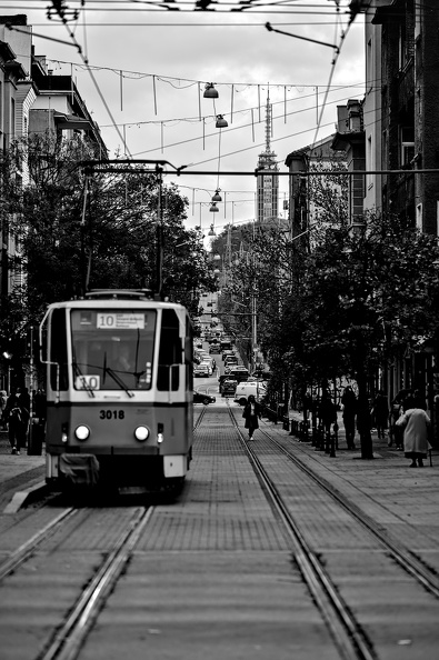 graf ignatiew 2025.13_dt_bw.jpg