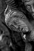 woodwork.2025.05 dt bw