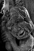 woodwork.2025.09 dt bw